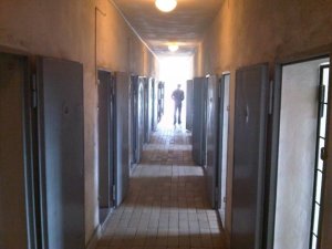 5460_225187970690_2119294_n