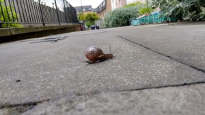 IMG_20150616_111514860_HDR