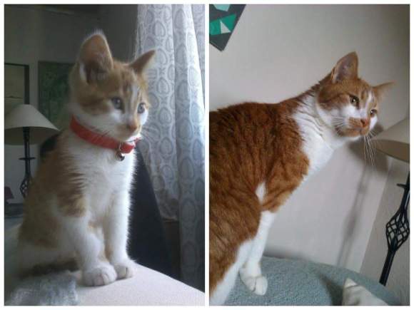 10572218_10154883189215691_2741298944905012204_o