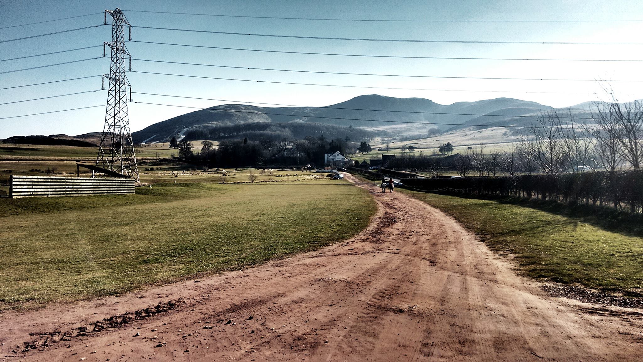 12473795_10156776619210691_4259351479320697968_o