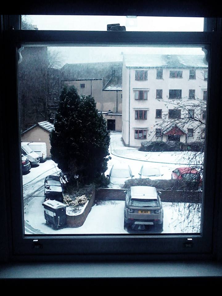 27067813_10160039128705691_8422523393207394640_n