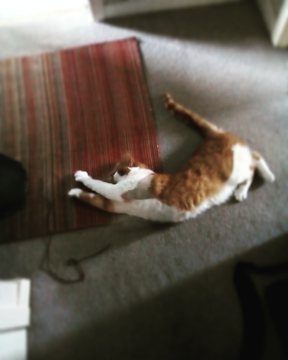 IMG_20190414_140523_139