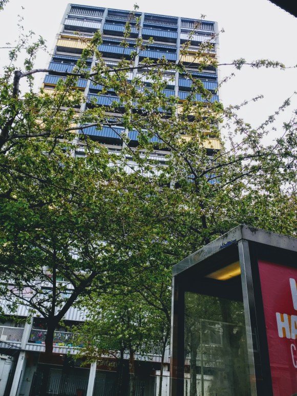 IMG_20190501_105801569~2